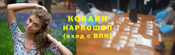 гидра Алексин