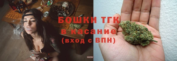 гидра Алексин